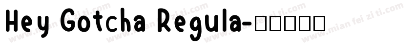Hey Gotcha Regula字体转换